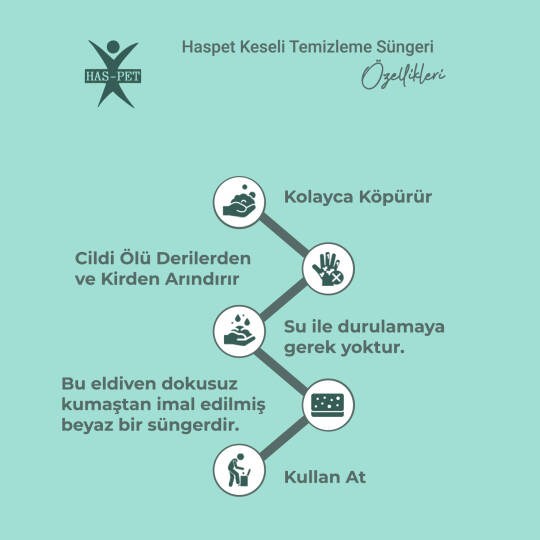 Haspet Keseli Temizleme Süngeri - 3 Adet - 2