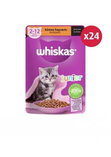 Whiskas Yavru Kümes Hayvanlı Poşet Yaş Kedi Maması 85 gr - 24 Adet