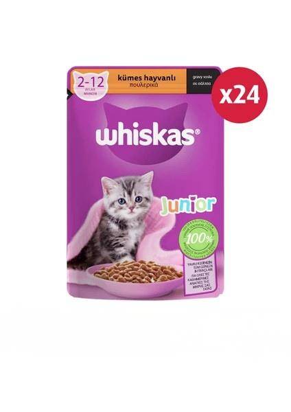Whiskas Yavru Kümes Hayvanlı Poşet Yaş Kedi Maması 85 gr - 24 Adet - 1